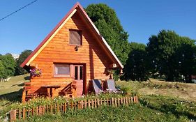 Nikitovic House